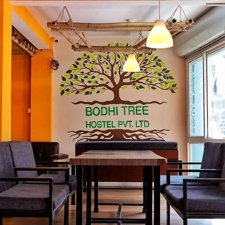 Bodhi Tree Hostel กาฐมาณฑุ ภายนอก รูปภาพ