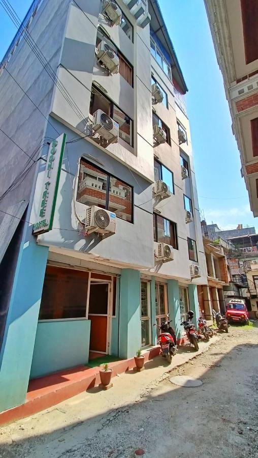 Bodhi Tree Hostel กาฐมาณฑุ ภายนอก รูปภาพ